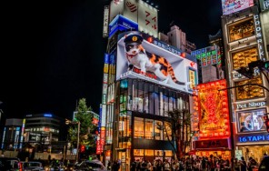 Вечерняя экскурсия по центру Токио