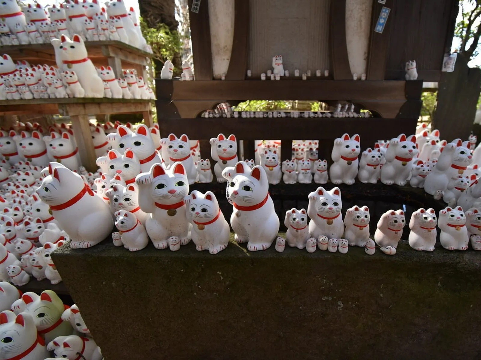 Фото экскурсии