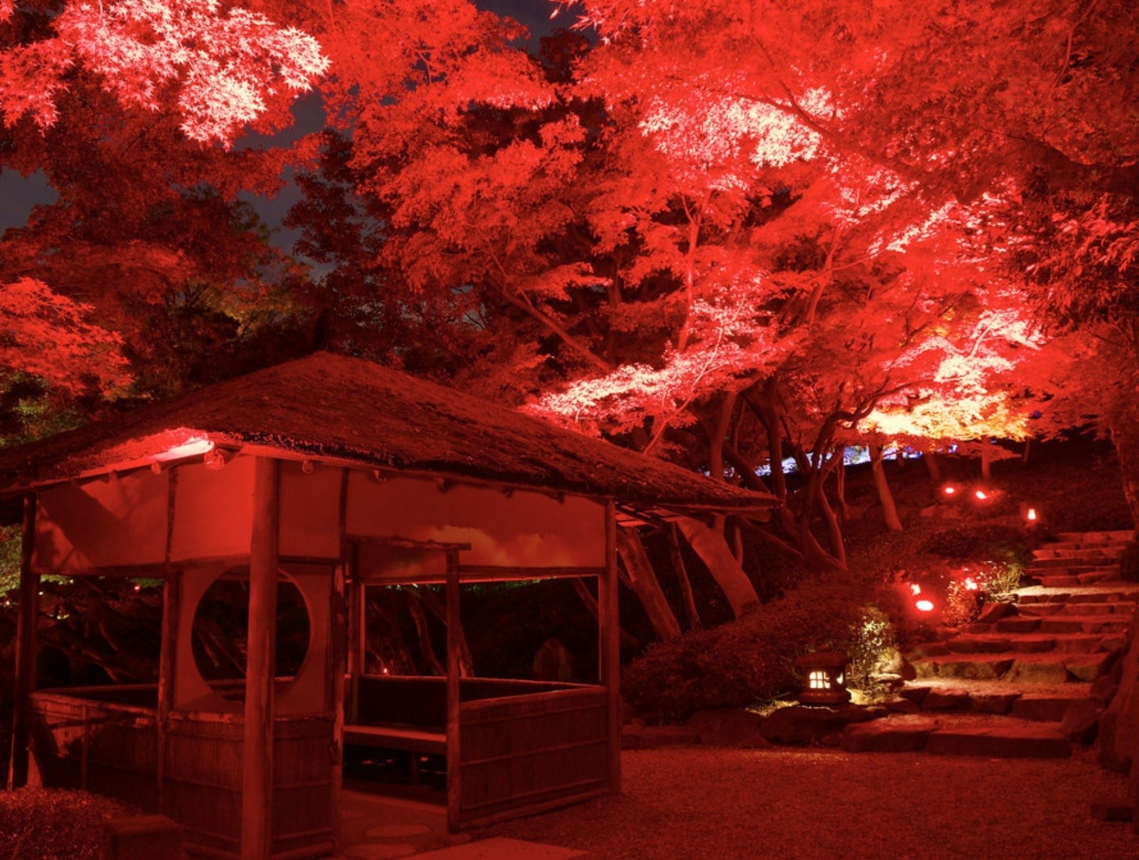 Фото экскурсии