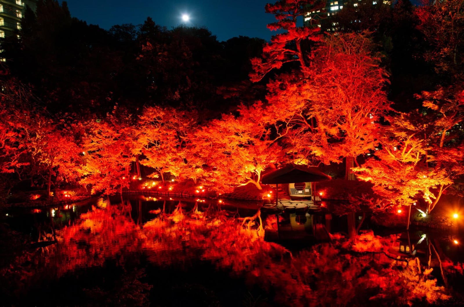 Фото экскурсии