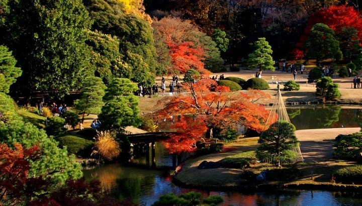 Фото экскурсии