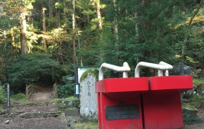 Шаманизм и лешие Тенгу на горе Такао