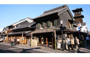 Экскурсия Токио-Сайтама