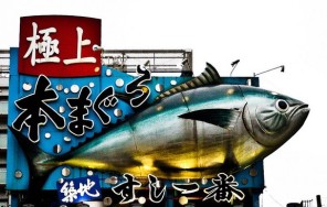 Экскурсия на рыбный рынок «Цукидзи» – отель в г. Токио.