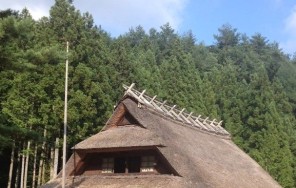 Экскурсия. 4 ракурса горы Фудзи