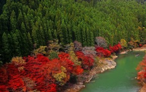 Экскурсия по Киото. Район Арасияма