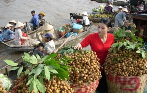 Однодневная экскурсия на плавучий рынок Кай Бе по дельте Меконга