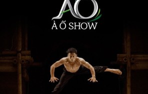 A O Шоу.