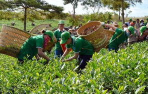 Индивидуальная экскурсия из Муйне, город Фантхиет в Далат